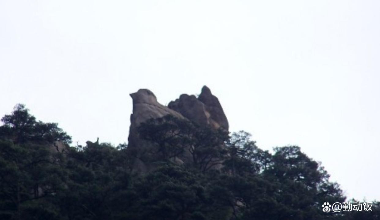 黄山奇石的石头长什么样_黄山石头奇石有哪些_黄山奇石有什么石头