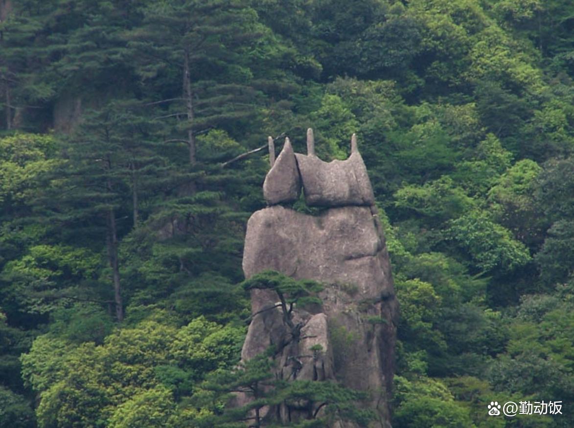 黄山石头奇石有哪些_黄山奇石有什么石头_黄山奇石的石头长什么样