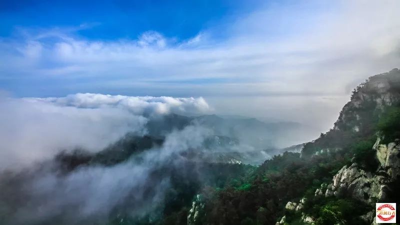 中华奇石馆门票多少_中华奇石园在哪里_中华奇石园