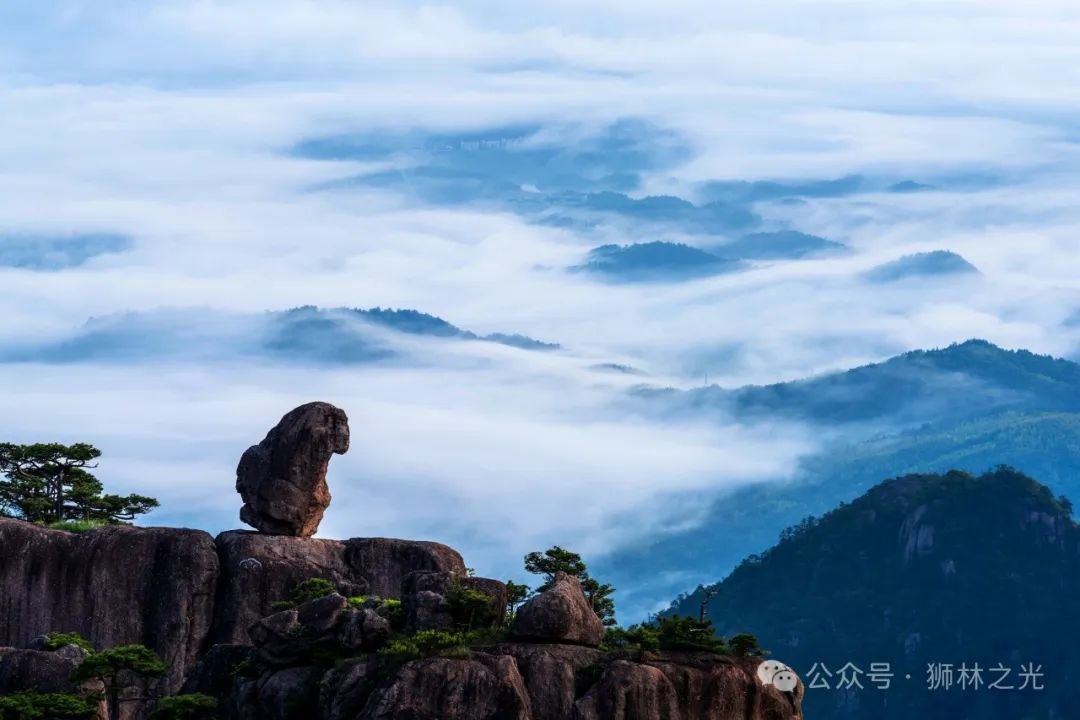 黄山奇石中_黄山奇石中心思想_黄山奇石中的仙人是什么意思